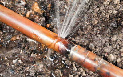 10 Reasons Why You May Need Water Line Repair…